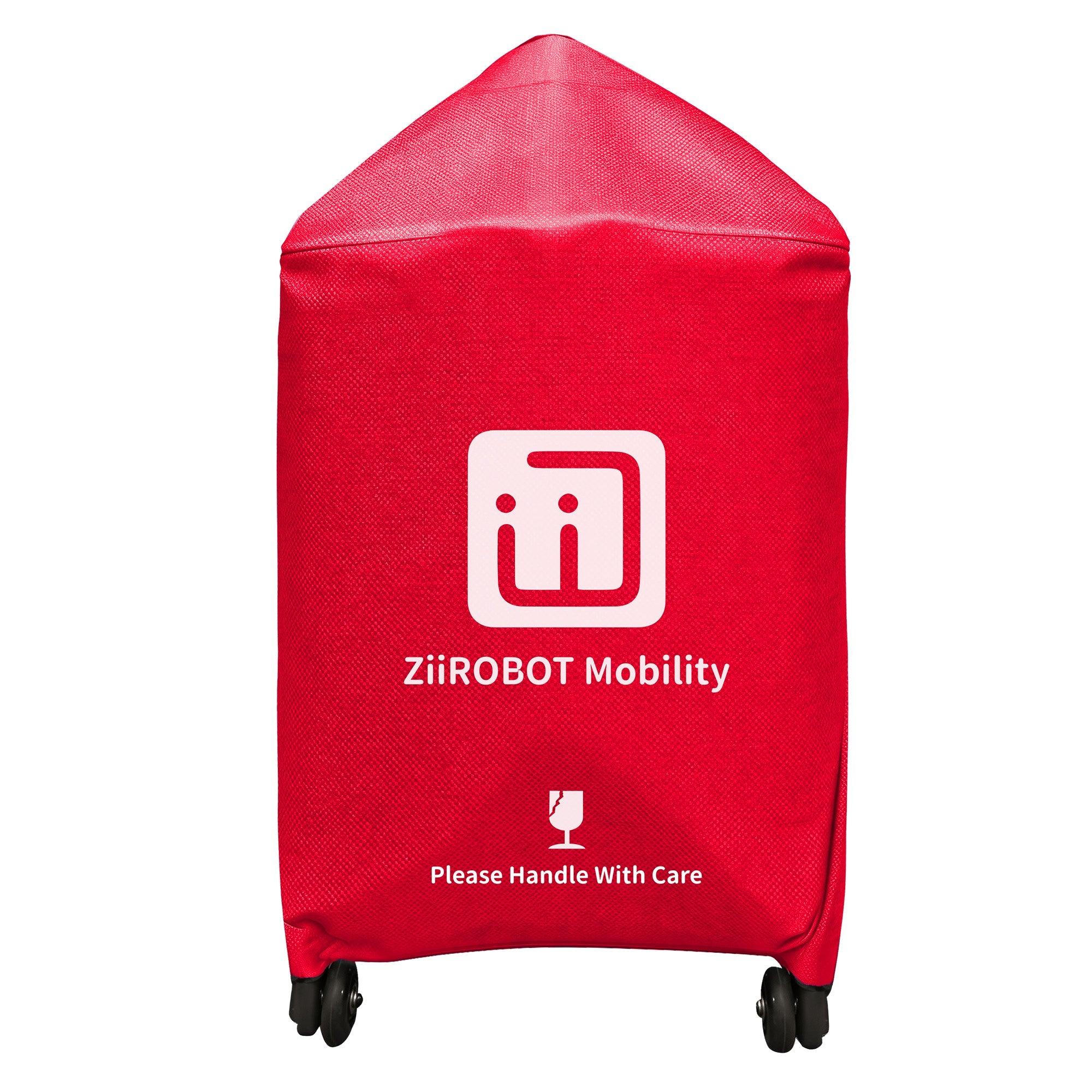 Travel Bag: ZiiLIF-R3b Scooter