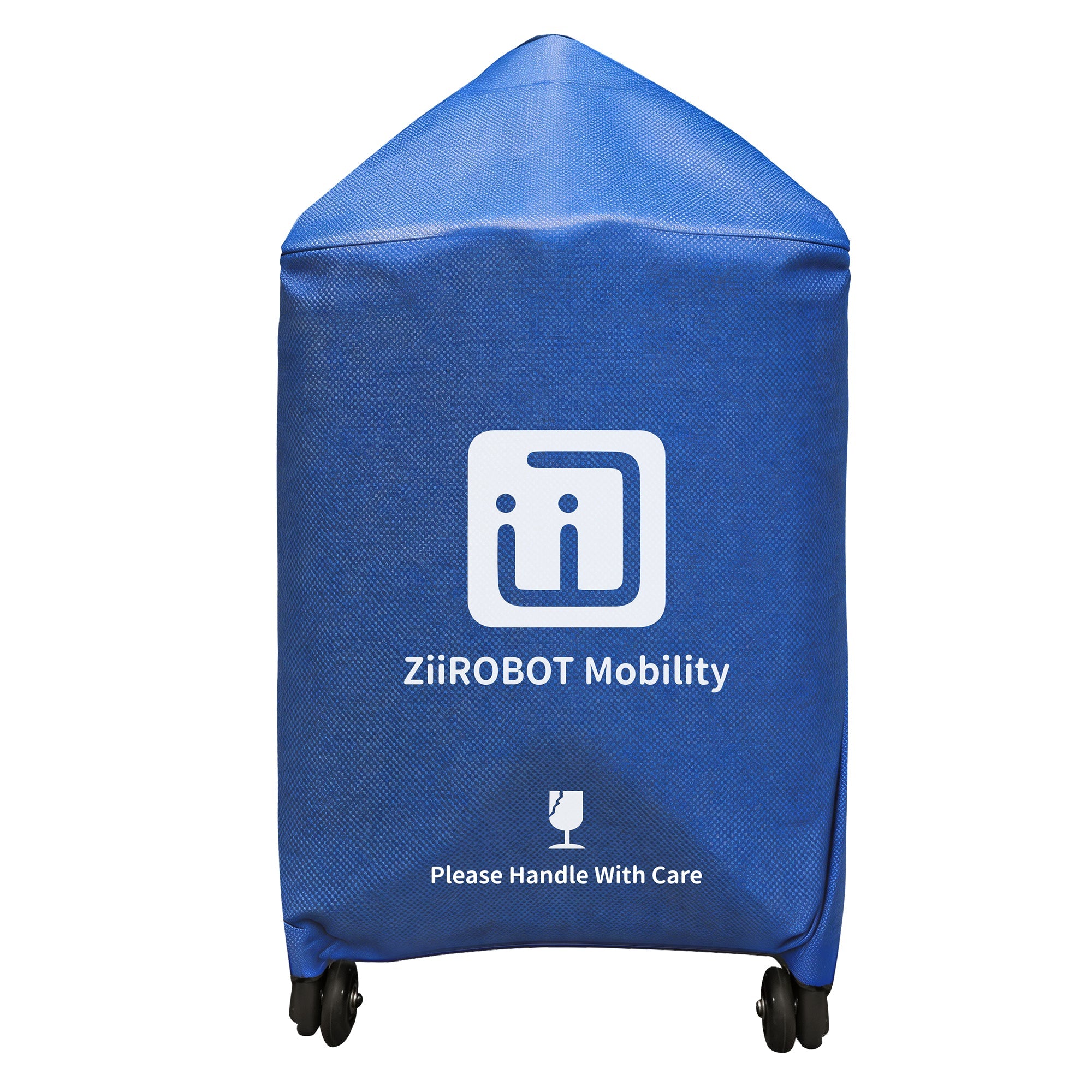 Travel Bag: ZiiLIF-R3b Scooter